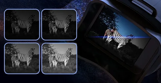 The same zebra shown four times at night, getting brighter as the infrared level goes up, next to the image as it appears on the Lumescope screen